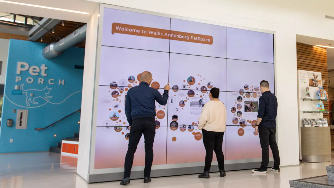 The 7 Best Retail Digital Video Display Systems For 2022